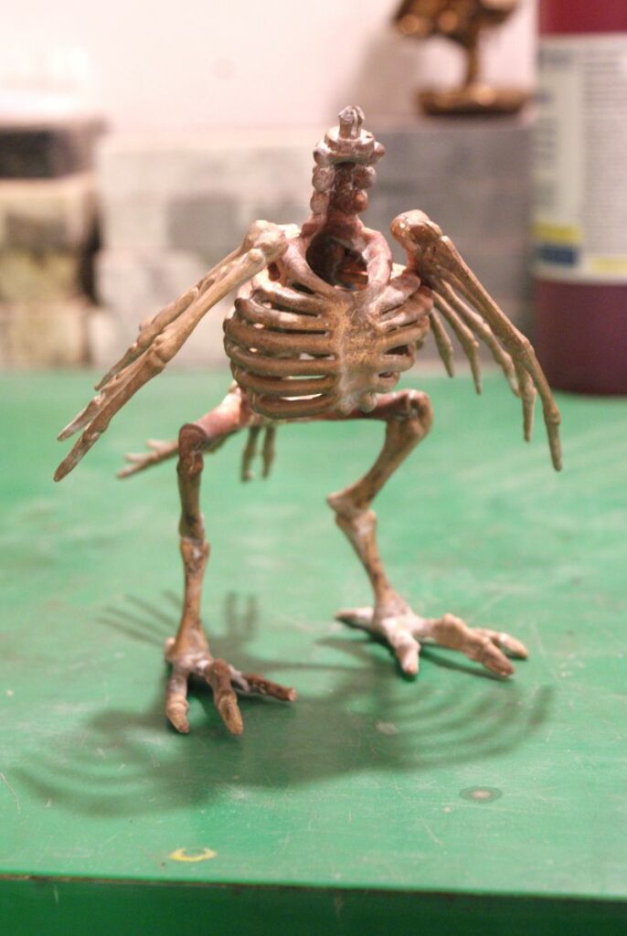 skeleton bird