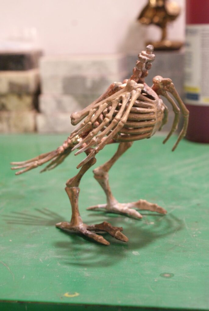 skeleton bird