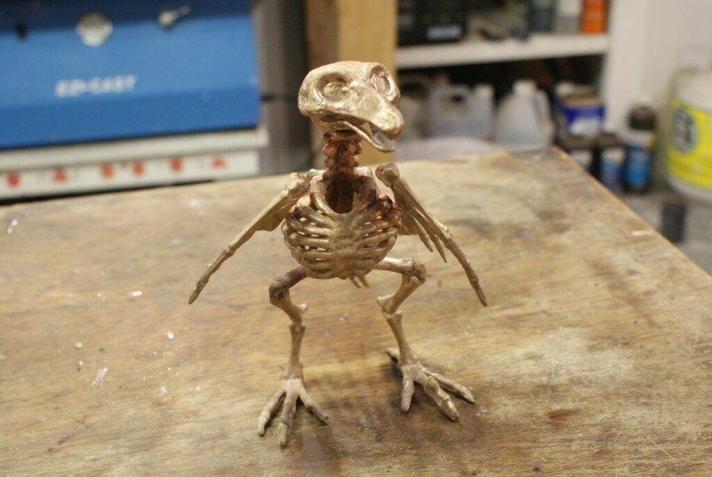 pirate bird skeleton