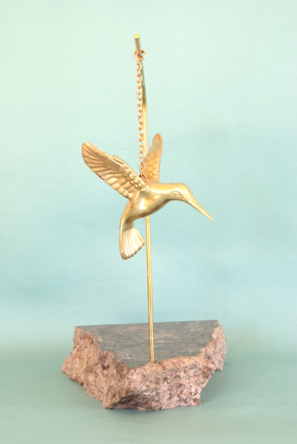 Bronze Hummingbird