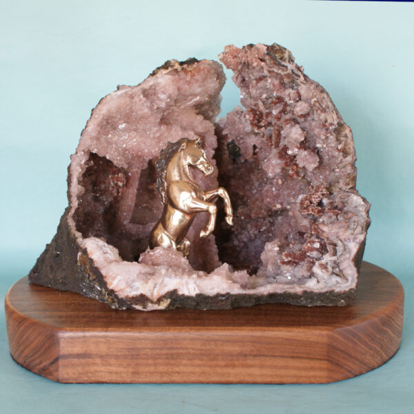 Encased - Image 8