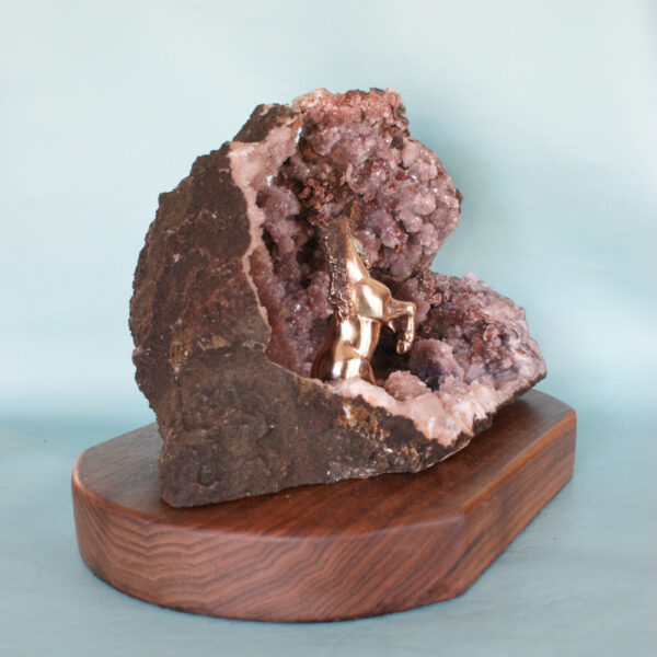 Encased - Image 5