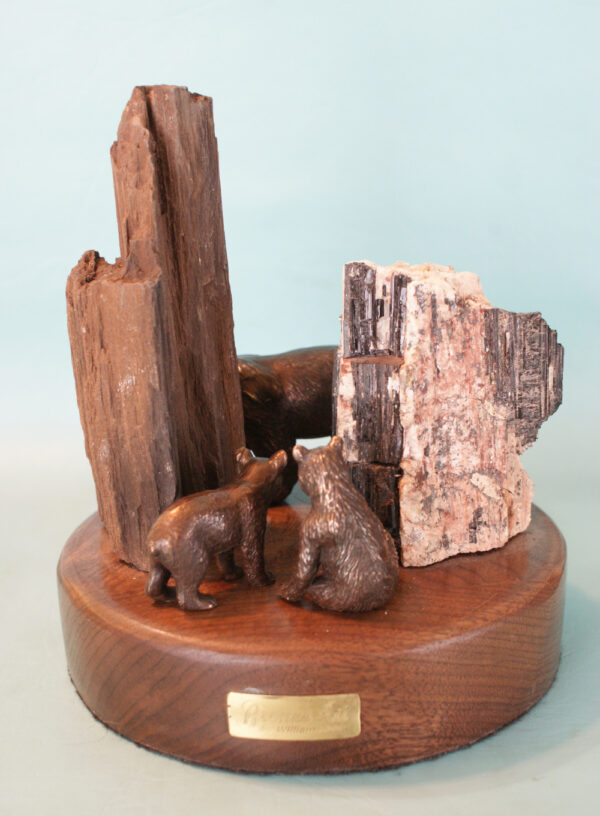 Bears in Hiding - Image 3