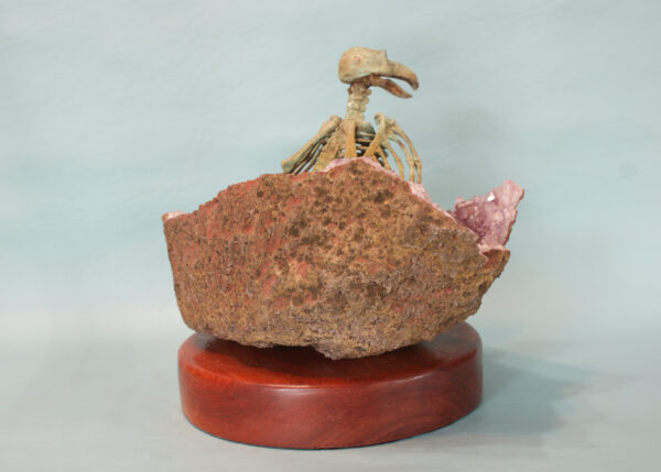 Samsara - Image 7
