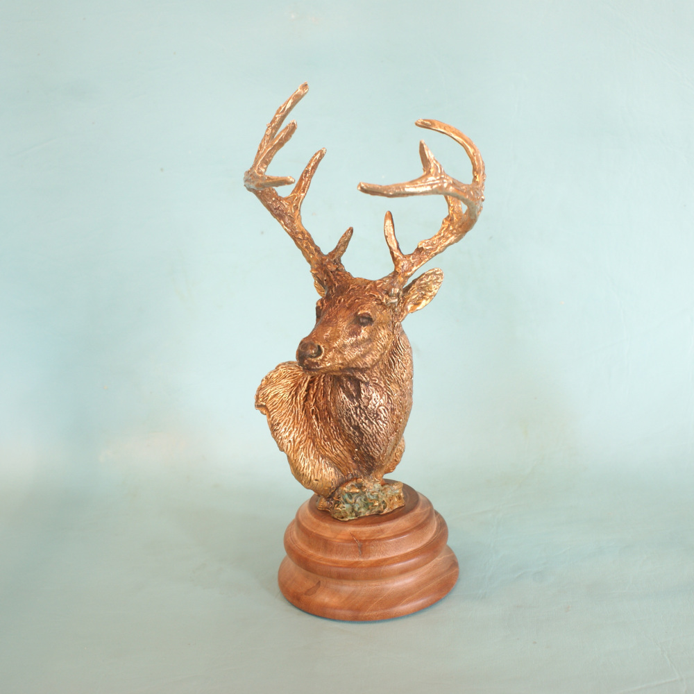Whitetail Deer