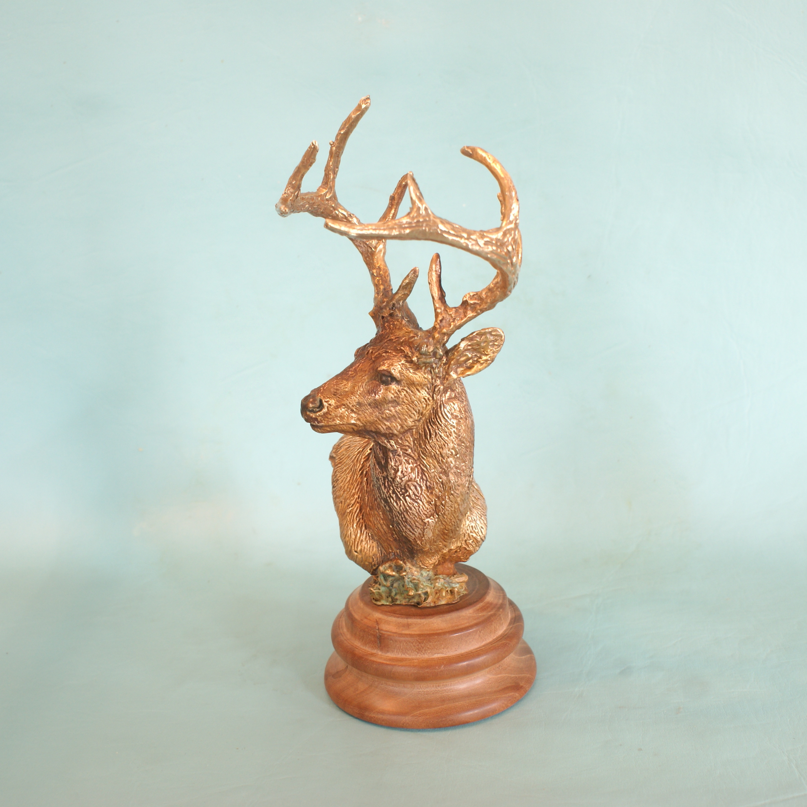 Whitetail Deer - Image 2