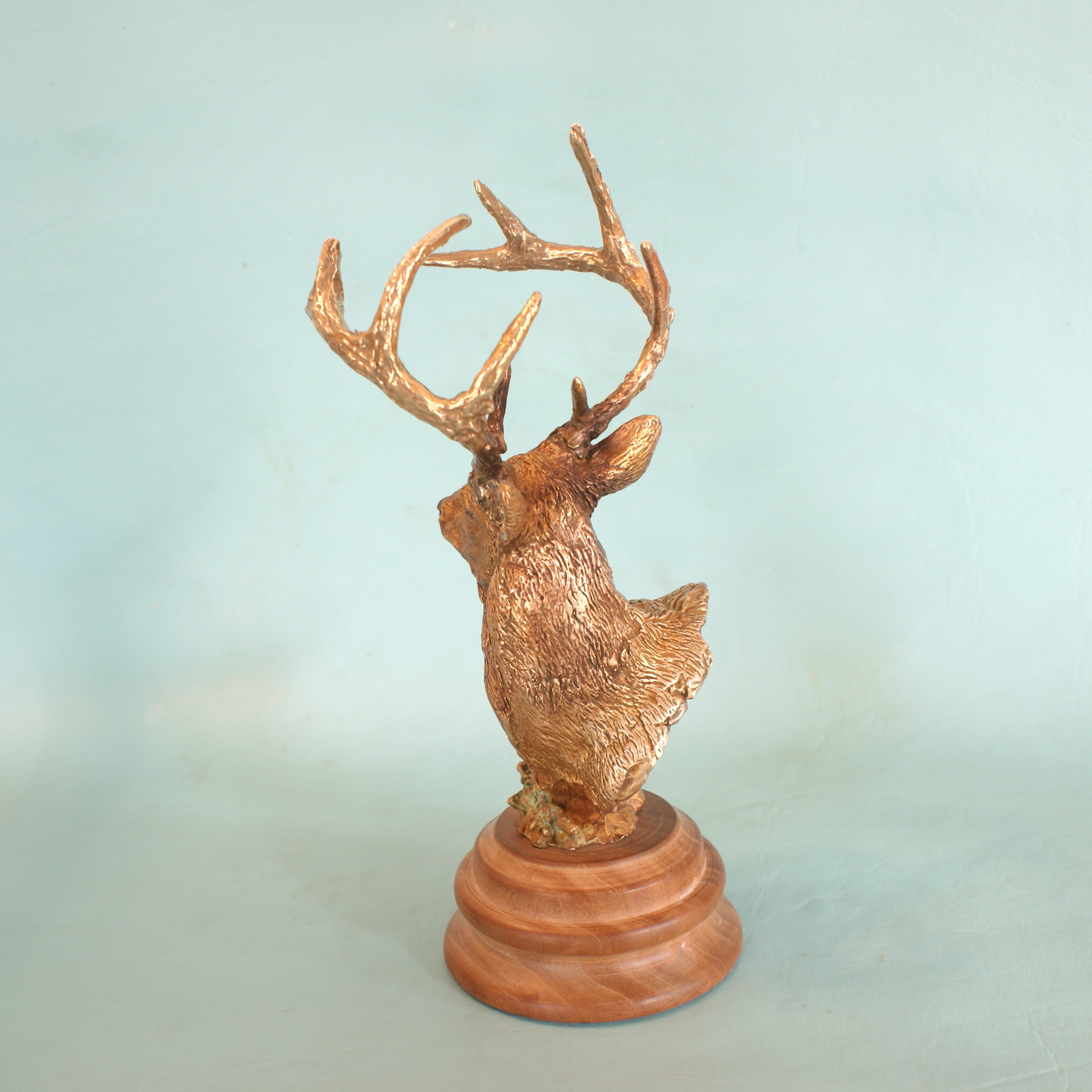 Whitetail Deer - Image 3