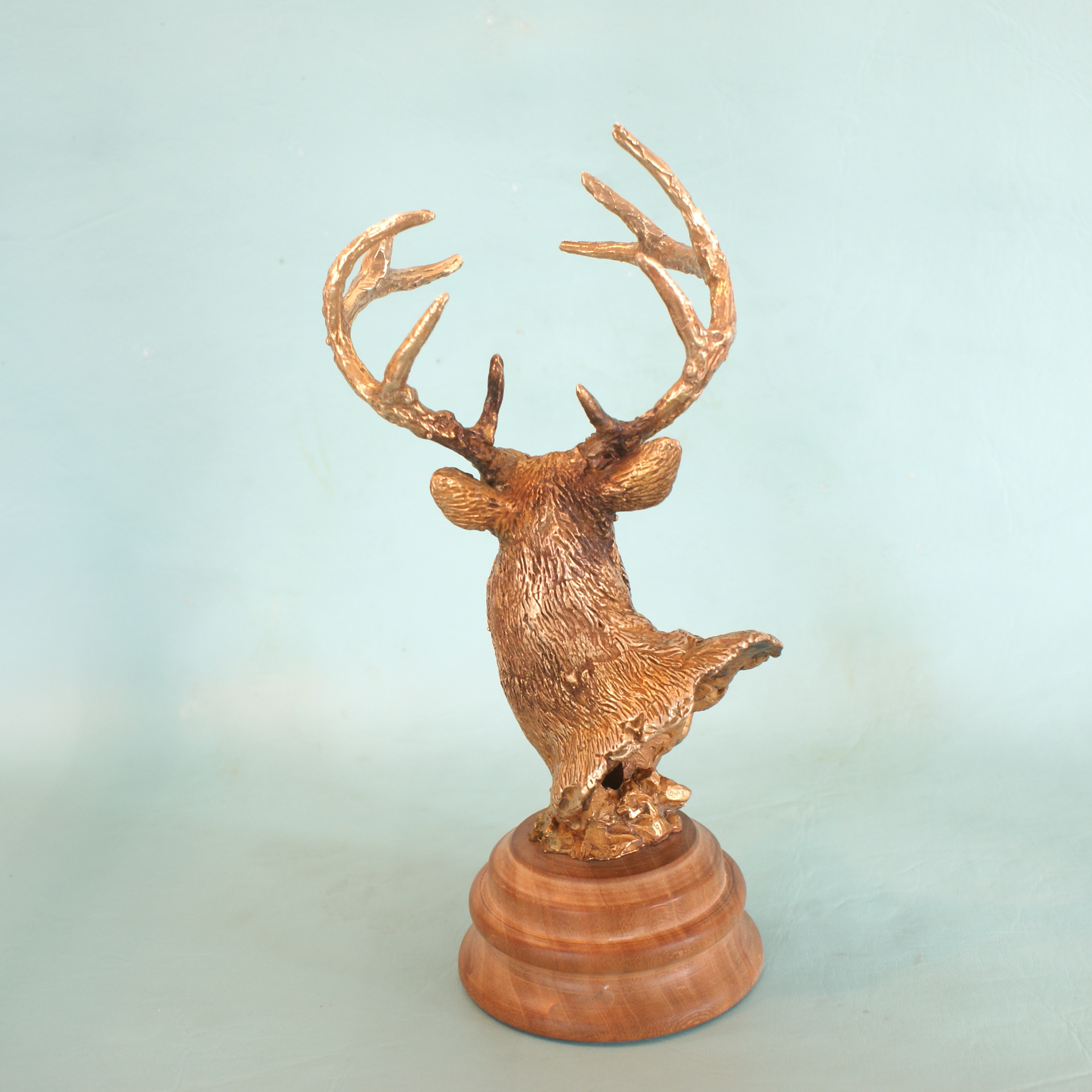 Whitetail Deer - Image 4