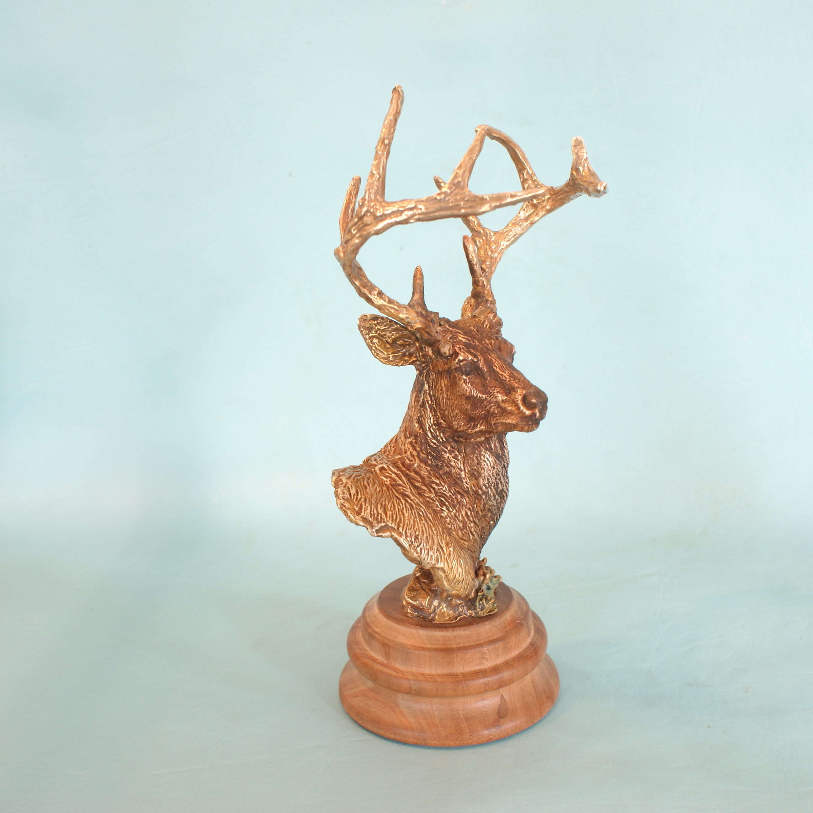 Whitetail Deer - Image 6
