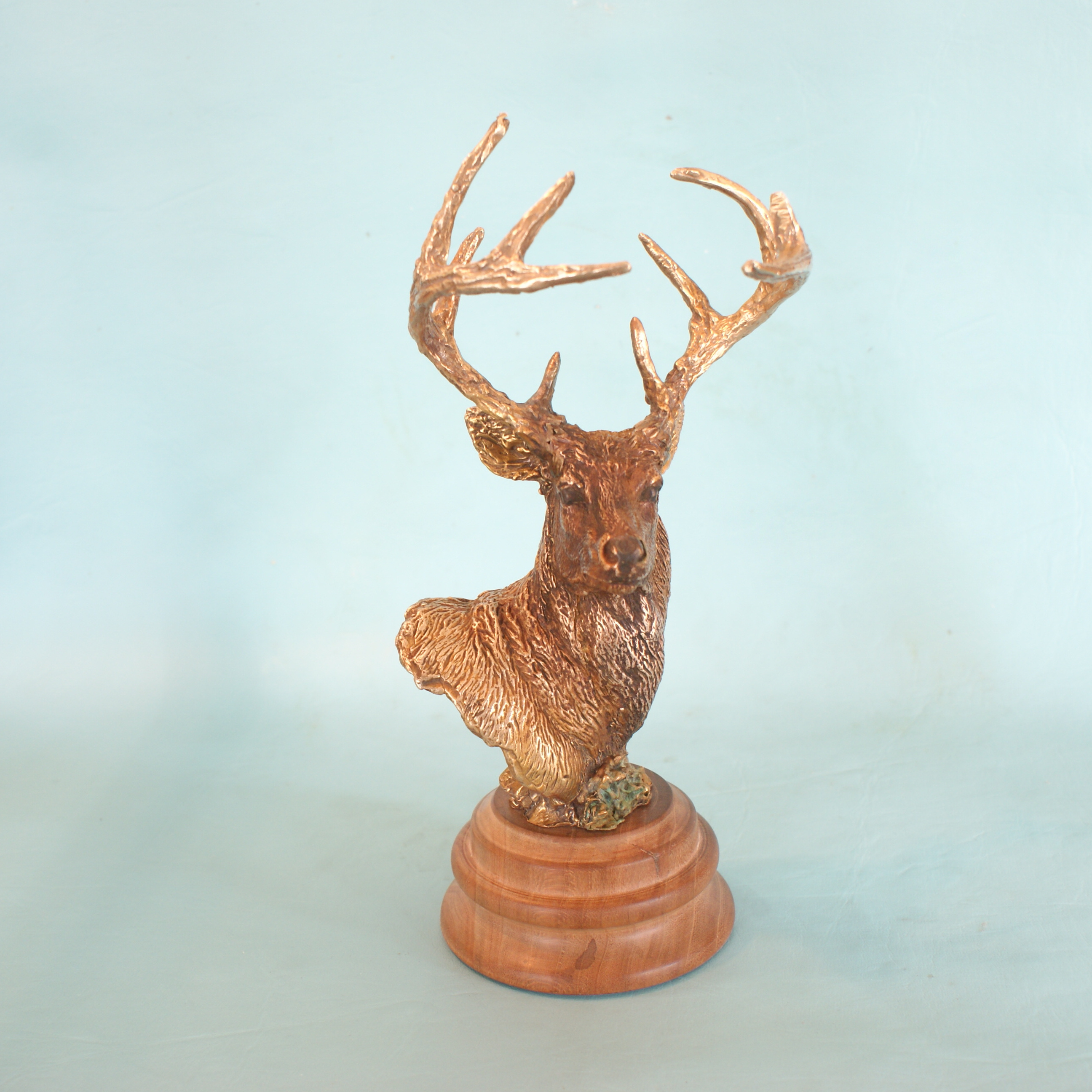 Whitetail Deer - Image 7